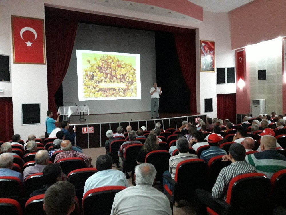 İyi Tarım Uygulamalarıyla Kuru Üzümde Tehdit Aşılacak