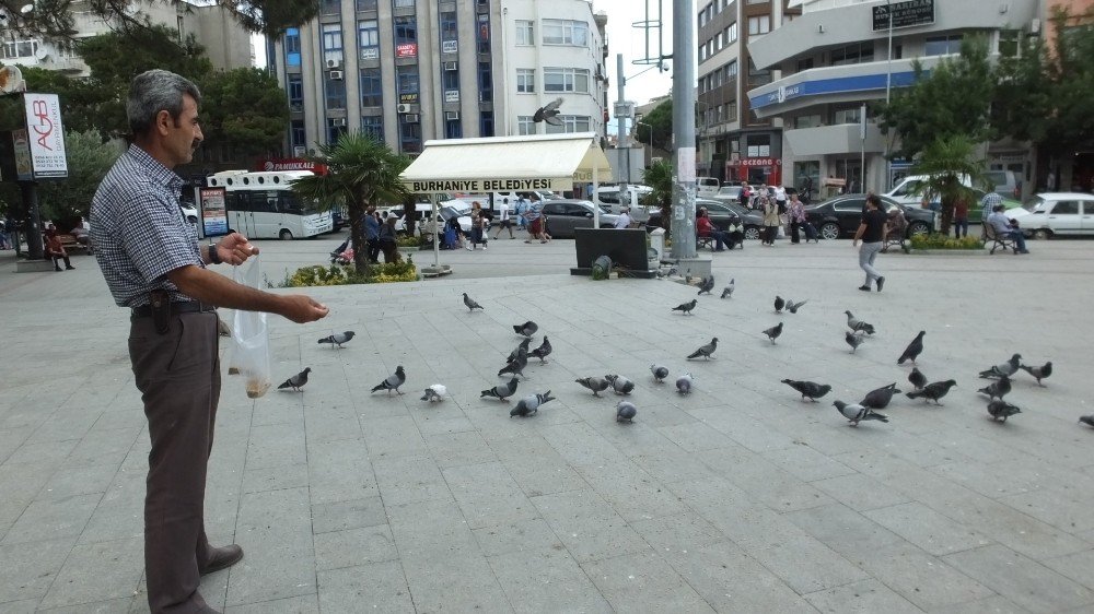 Ramazanda Güvercinlere Yem Verenlerin Sayısı Arttı