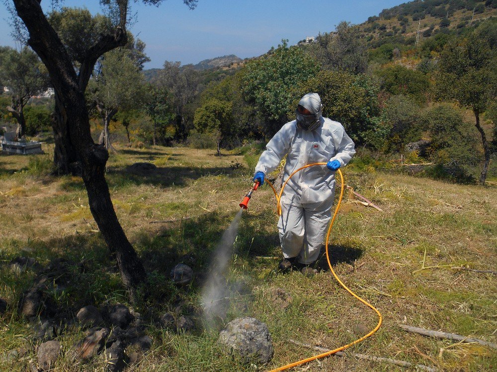 Muğla Büyükşehir Bayrama Hazır