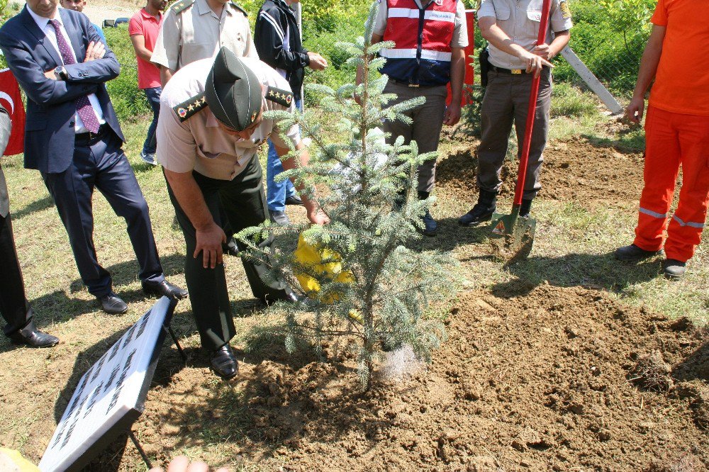 Jandarma Devrek’te Ağaç Dikti