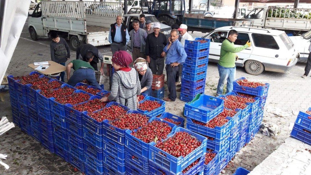 Şaphane’de Kiraz Fiyatları Saatlik Değişiyor