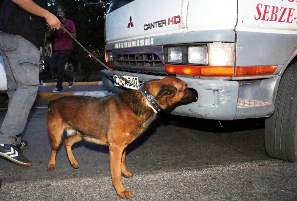 Polisten Toptancı Sebze Halinde Uygulama