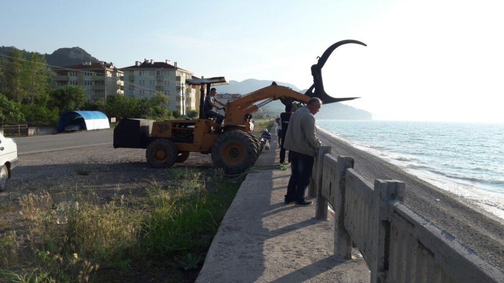 Kastamonu’da Sahile Şamandıra Vurdu