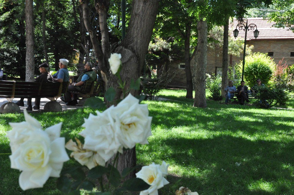 Serin Geçen Havaların Ardından Sıcaklar Birden Yükseldi