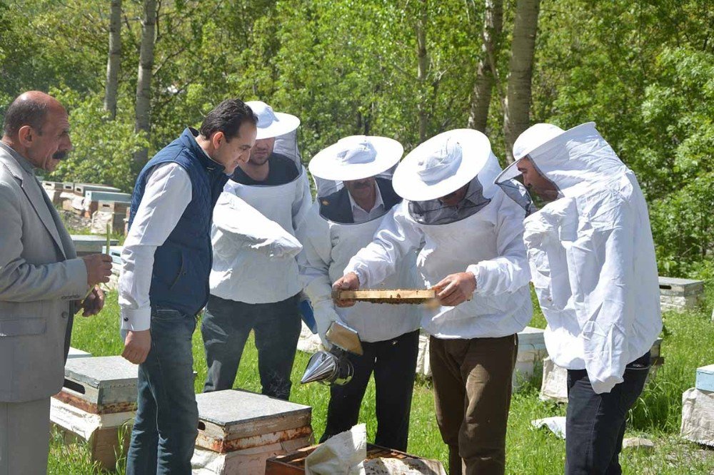 Çatak’ta Arıcılık Kursuna Büyük İlgi