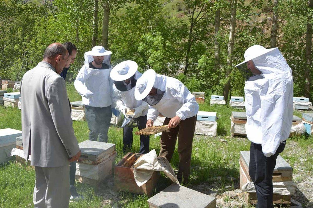 Çatak’ta Arıcılık Kursuna Büyük İlgi