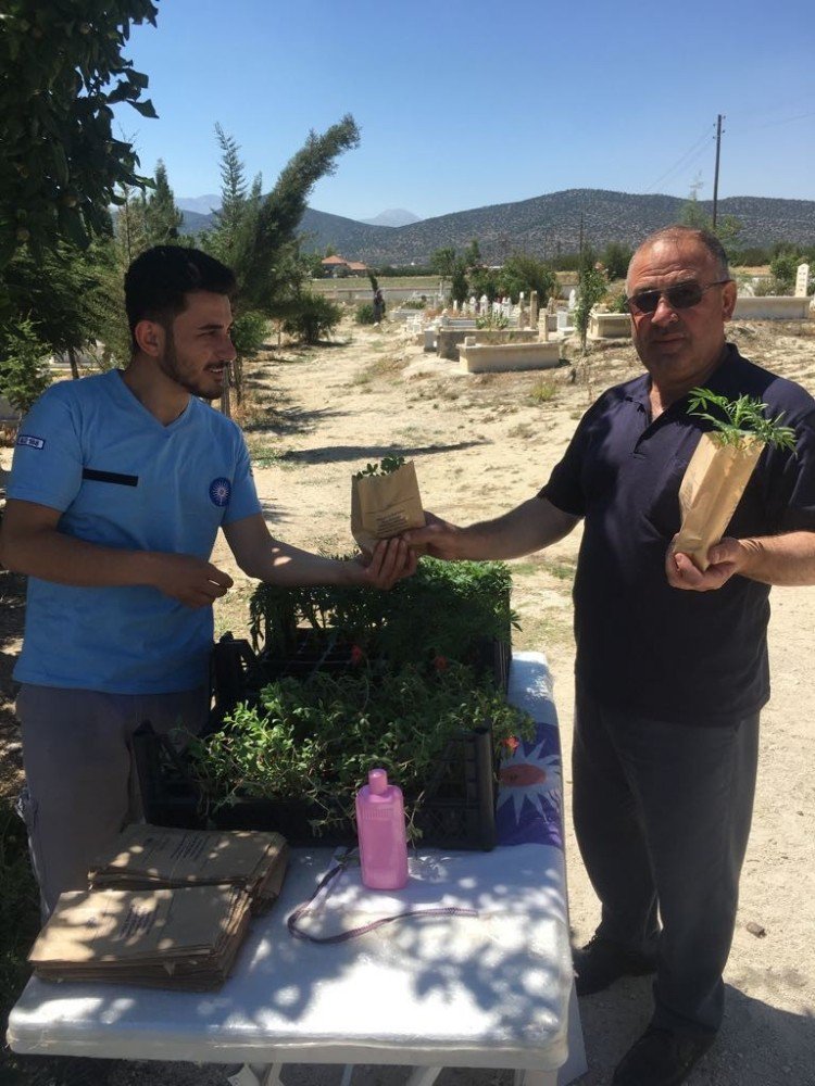 Büyükşehir Mezarlıklarda Fidan Dağıttı