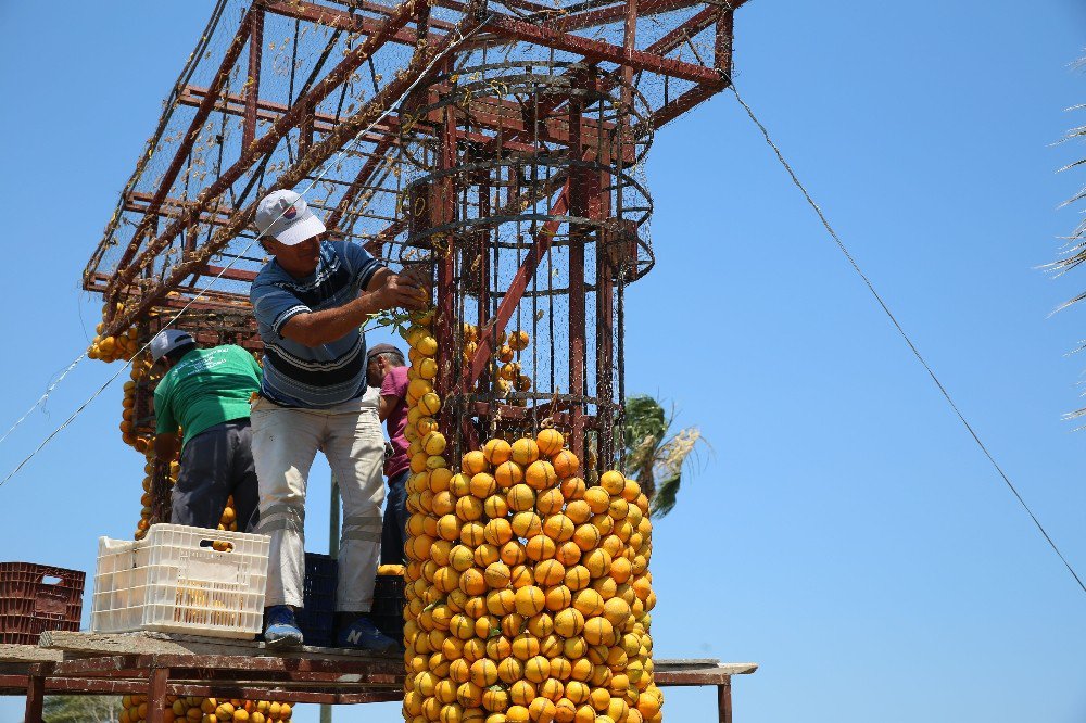 Uluslararası Portakal Festivali Hazırlıkları Başladı