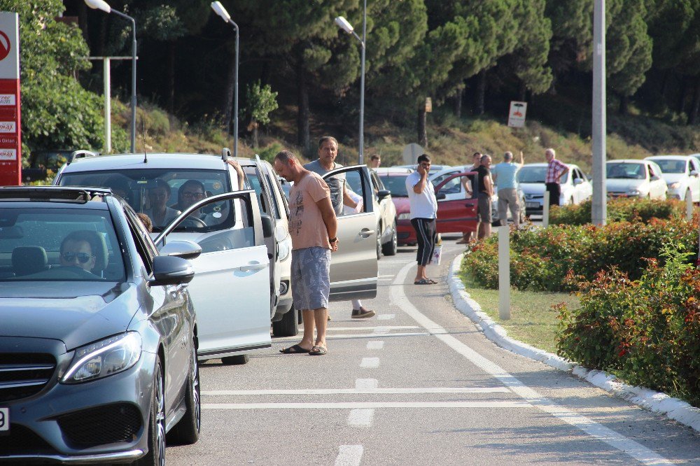 Tatil Yolu Çile Dolu