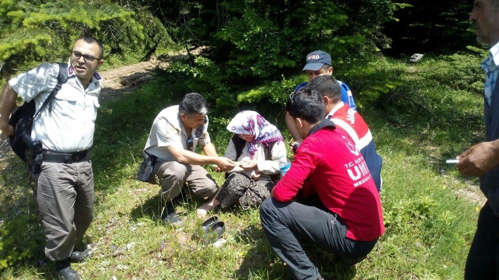 Kaybolan Zihinsel Engelli Kadın Ormanlık Alanda Bulundu