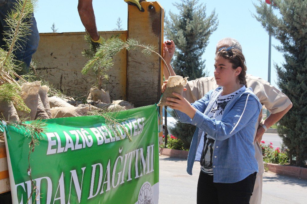 Elazığ’da Mezarlıklarda 10 Bin Fidan Dağıtıldı