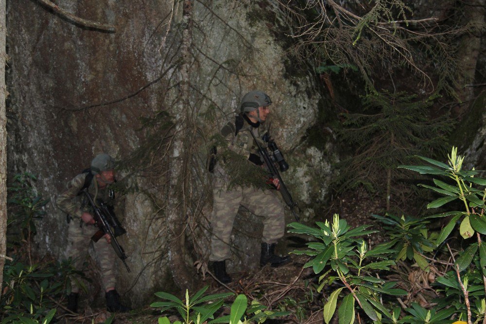 Giresun’da Pkk Sığınağı İmha Edildi