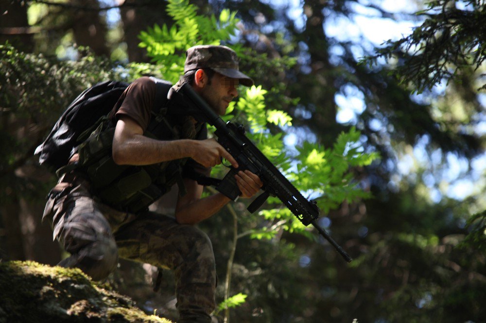 Giresun’da Pkk Sığınağı İmha Edildi