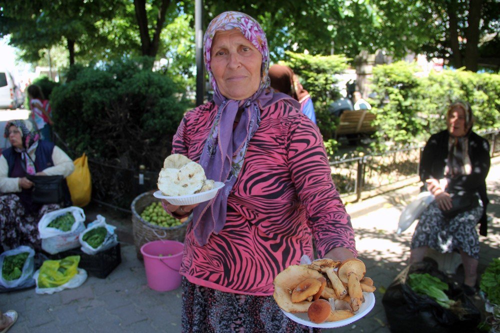 Toprağın Bereketiyle Aile Ekonomisine Katkı Sağlıyorlar