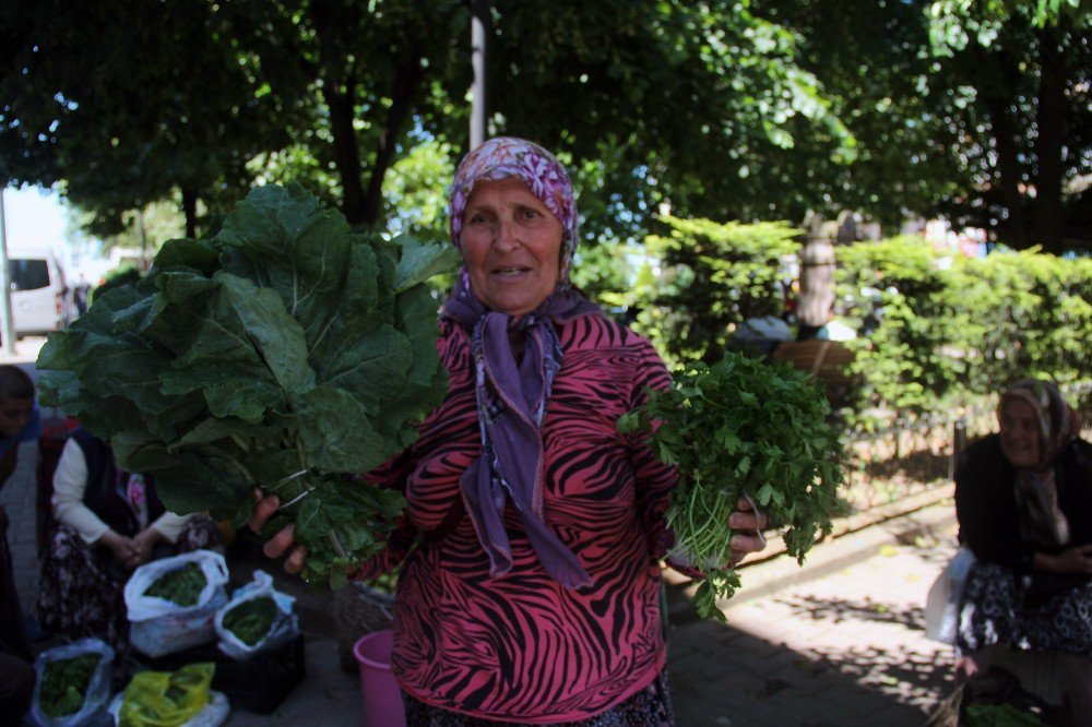 Toprağın Bereketiyle Aile Ekonomisine Katkı Sağlıyorlar