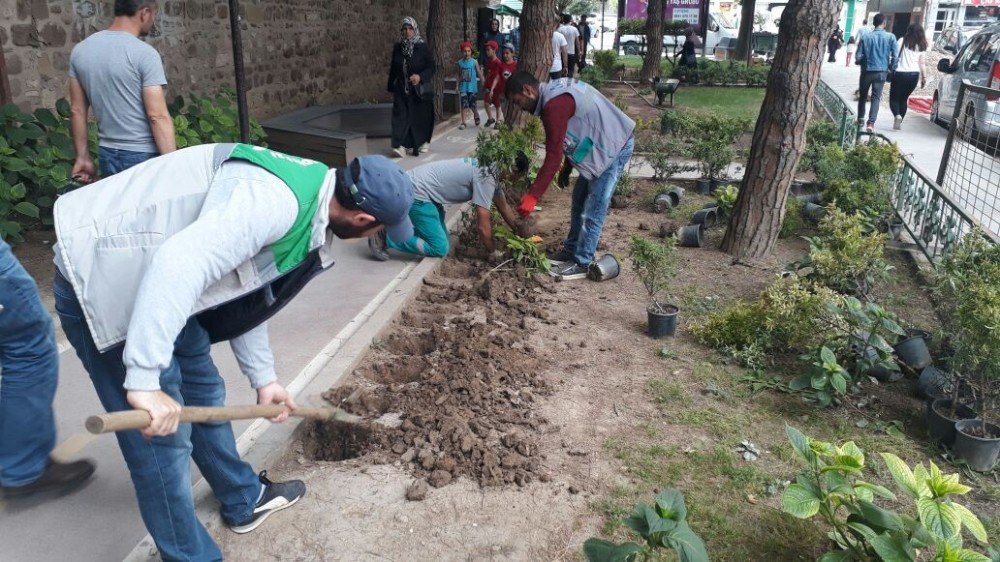 İzmit’teki Parklara Mevsimlik Çiçekler Dikiliyor