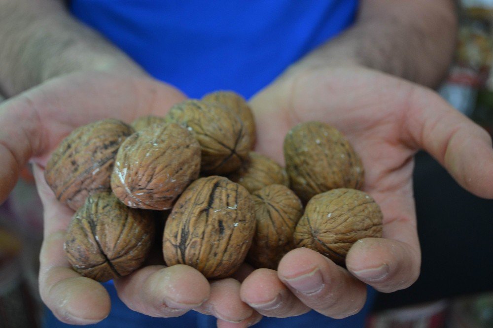 Bayram Baklavasının Olmazsa Olmazı Cevize Talep Arttı