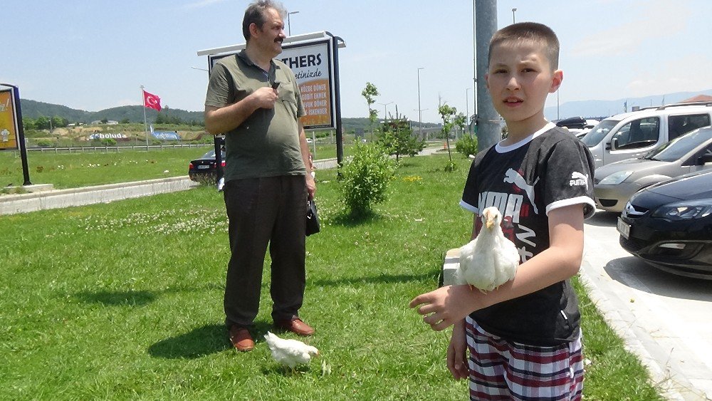 Bayram Trafiği Tatilcileri Bunalttı