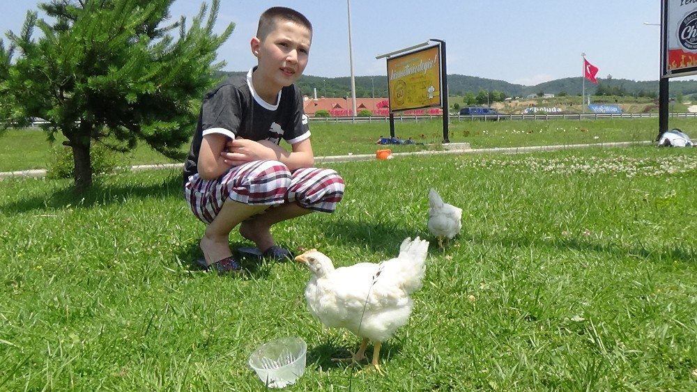 Bayram Trafiği Tatilcileri Bunalttı