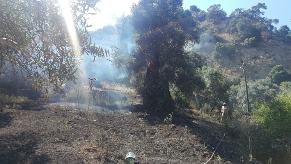 Sultanhisar’daki Yangının Sigaradan Çıktığı Belirtildi