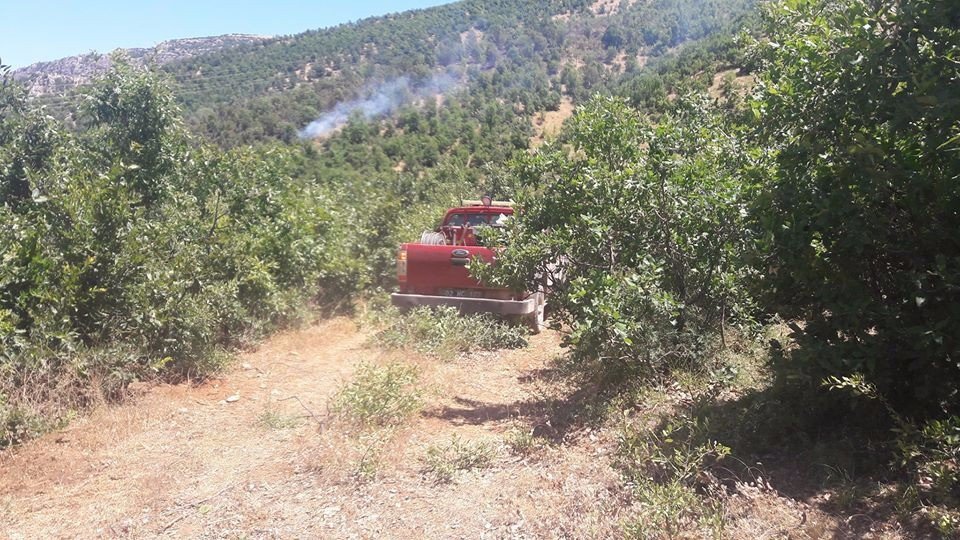 Adıyaman’da Orman Yangını