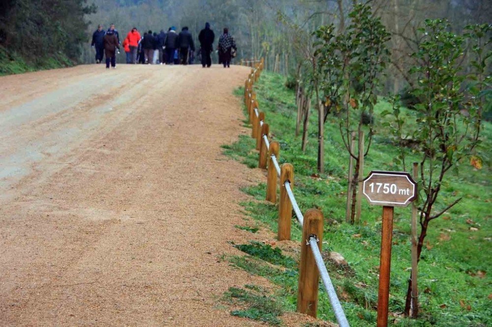 Kent Geneline 170 Bin 914 Metre Yürüyüş Yolu