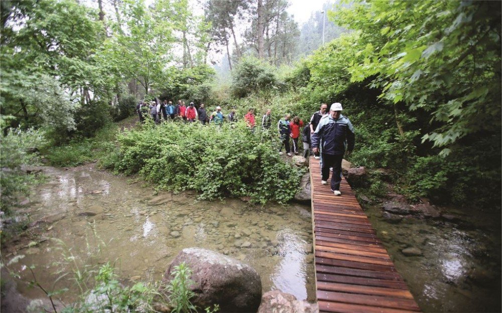 Kent Geneline 170 Bin 914 Metre Yürüyüş Yolu