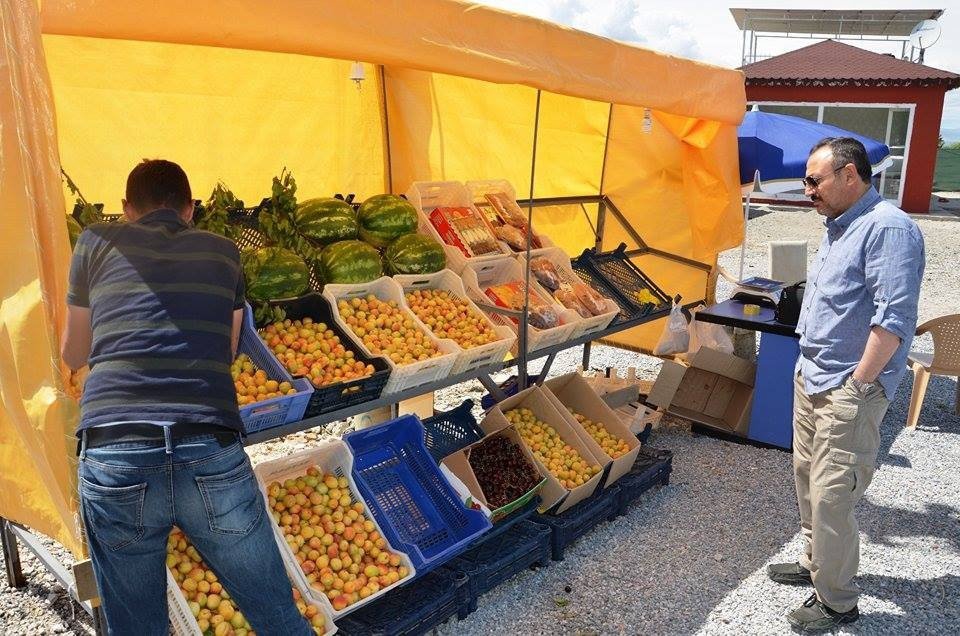 Kayısı Üreticilerinde Çözüm Bitmiyor