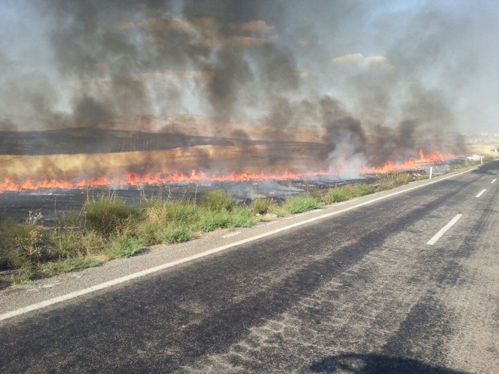 Siirt’te Anız Yangını