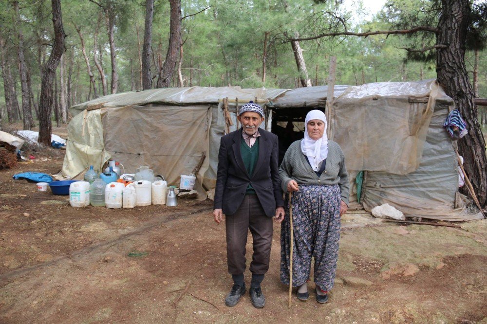 Hüseyin Dede Çadırda Yaşamaktan Kurtuldu