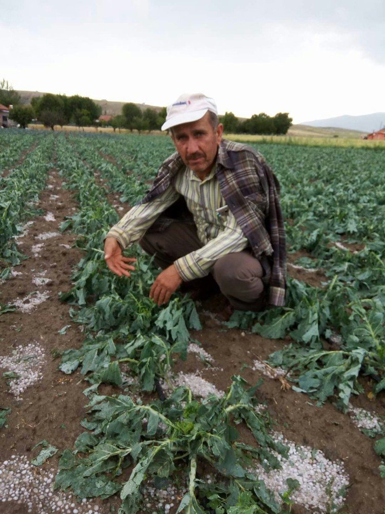 20 Dakikalık Dolu Tarım Alanlarını Vurdu