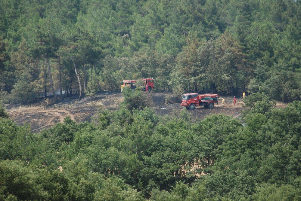 Çanakkale’de Arazi Yangını