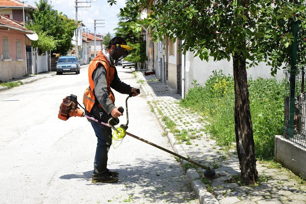 Daha Temiz Bir Tepebaşı İçin