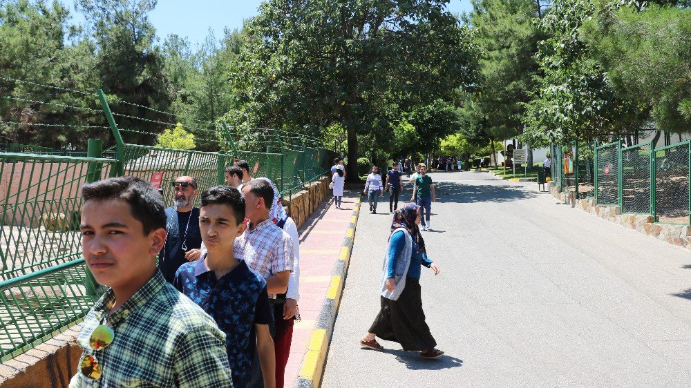 Gaziantep Hayvanat Bahçesi’ne Ziyaretçi Akını