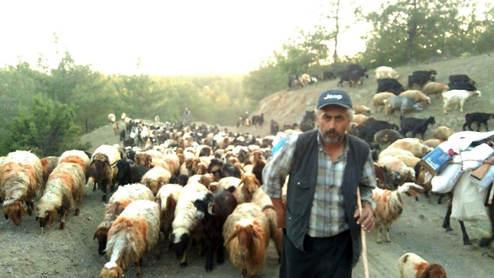 Göçerlerin 6 Aylık Hasreti Bitti