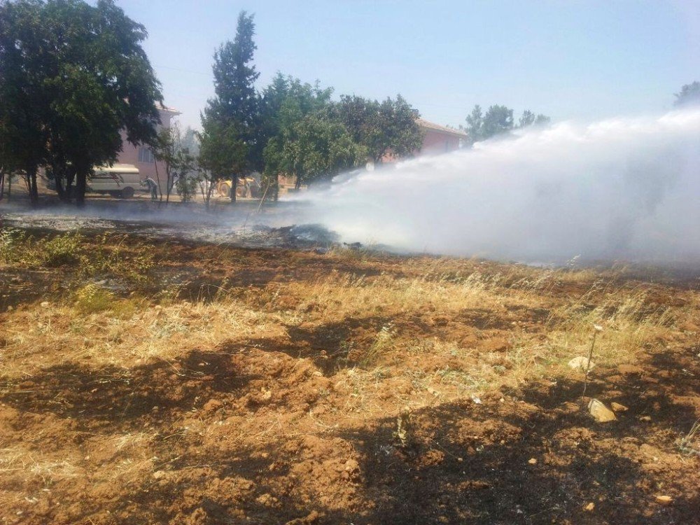 Mardin’de Ağaçlık Alanda Yangın