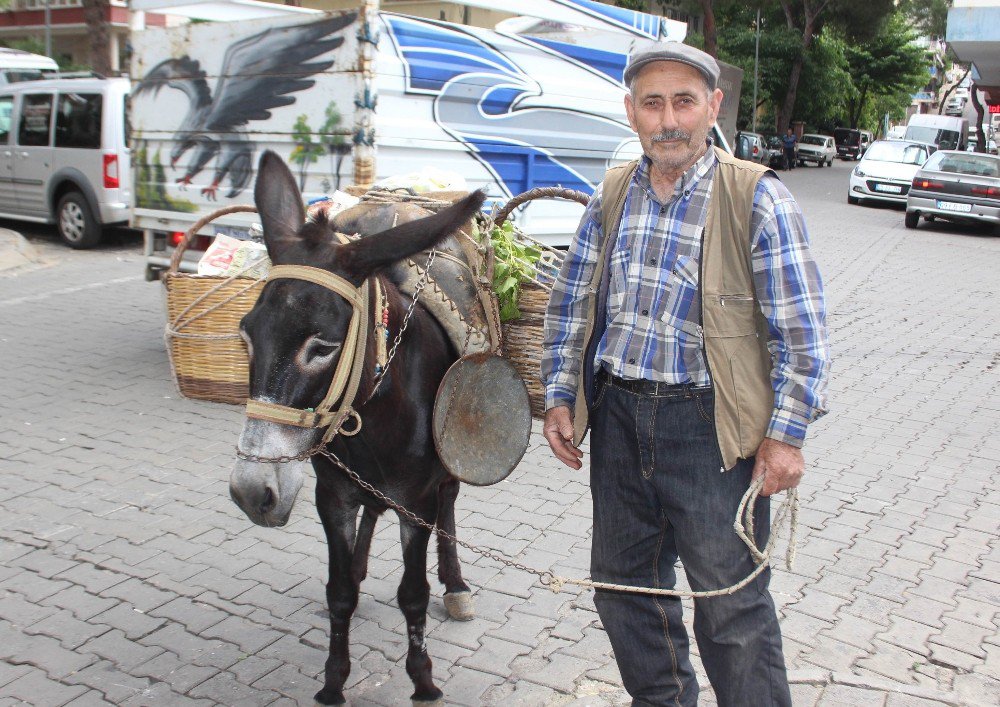 Raşit Dede, Akıllı Eşeği Sayesinde Daha Sağlıklı Olduğunu Belirtti