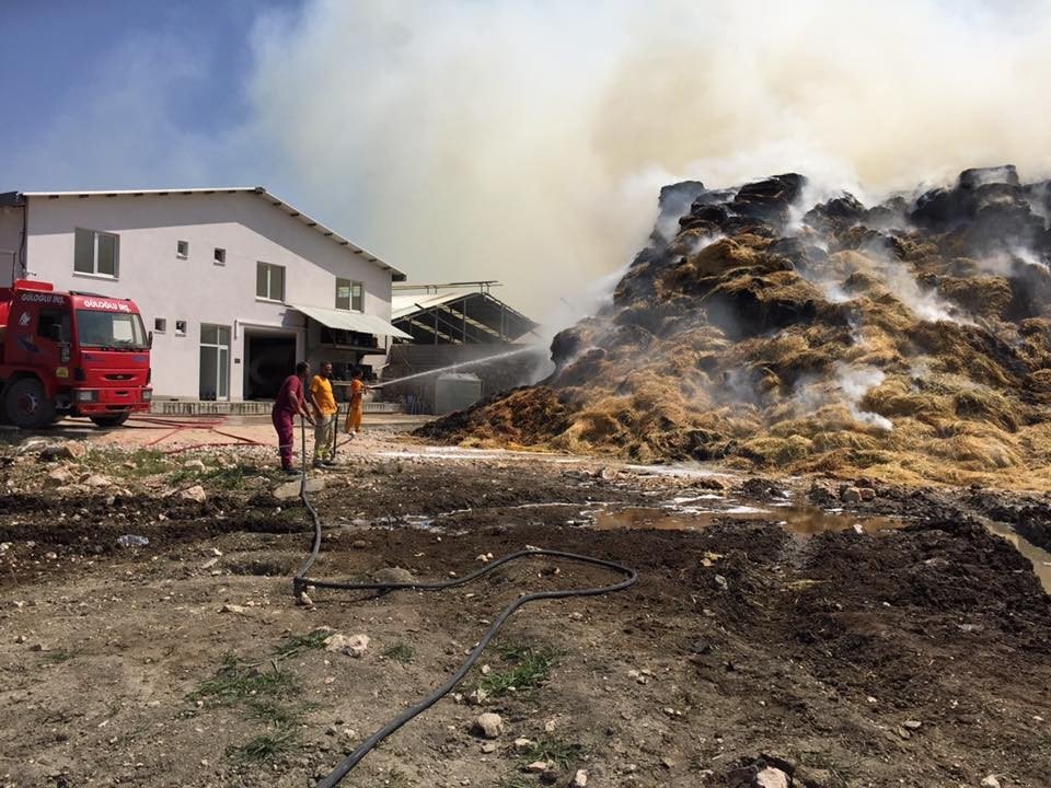 Suluova’da Besi Çiftliğinde Yangın