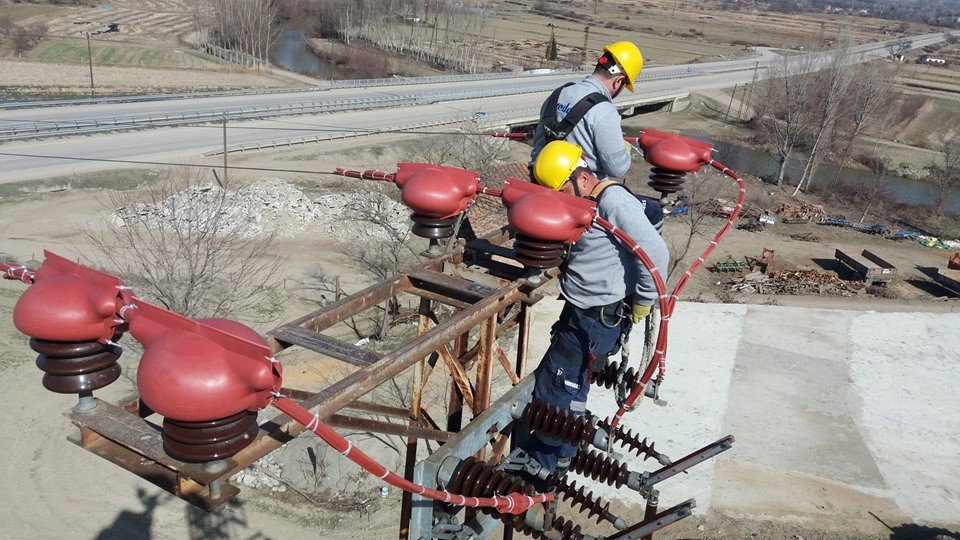 Enerji Nakil Hatları Göçmen Kuşlar İçin Güvenli Hale Getirildi