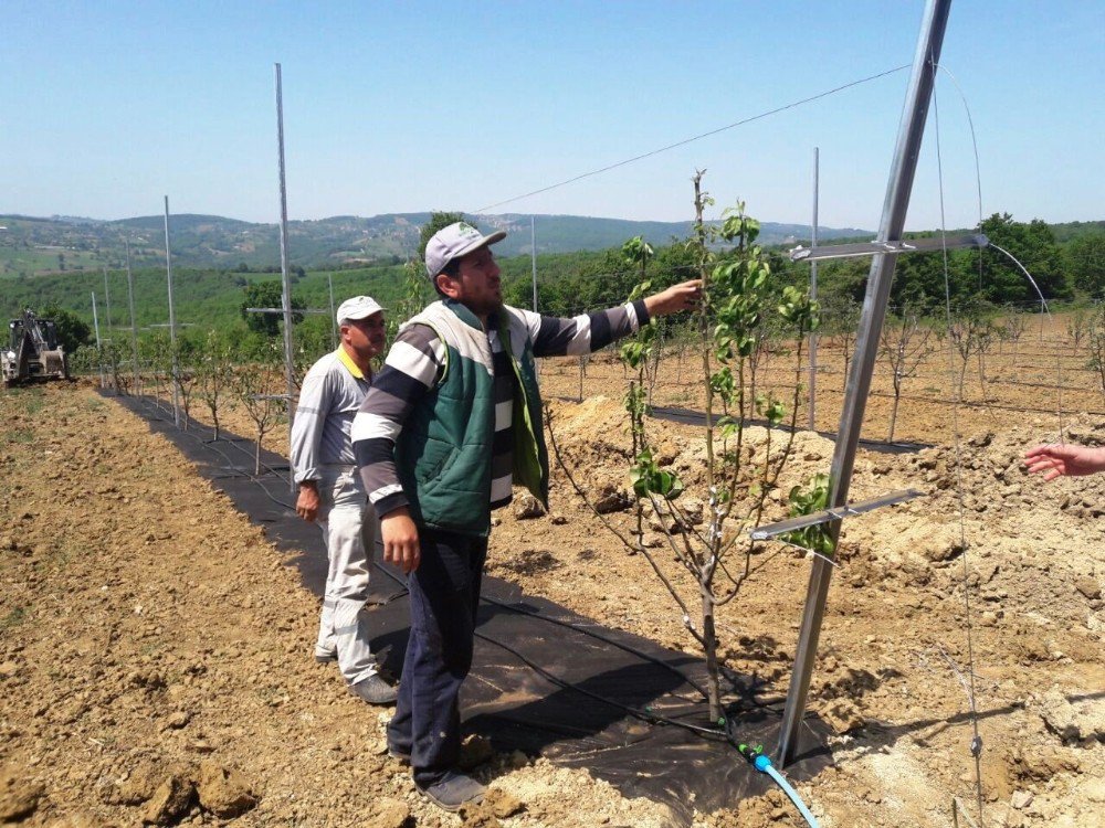 Uygulama Bahçesi Çiftçileri Bilinçlendiriyor