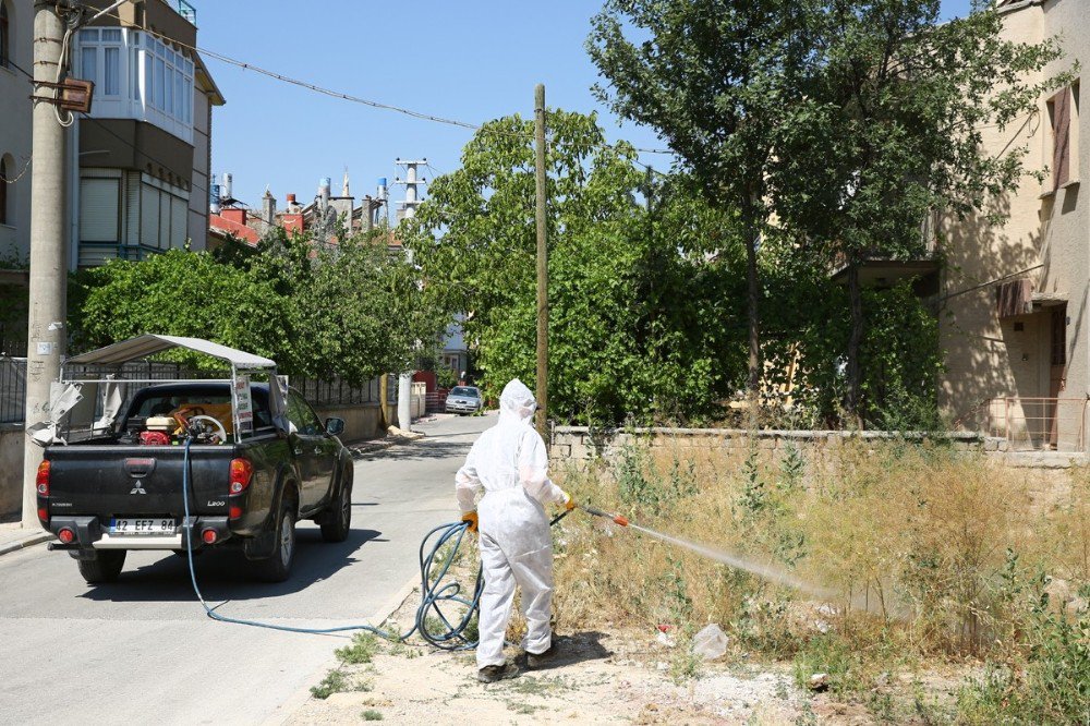 Selçuklu’da 24 Ekiple İlaçlama Çalışması Yapılıyor