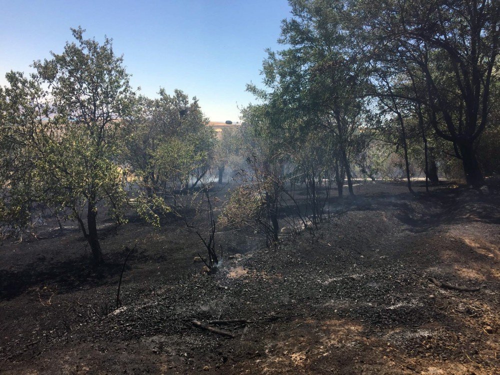 Tunceli’de Ekili Tarım Arazisi Ve Bahçelerde Yangın
