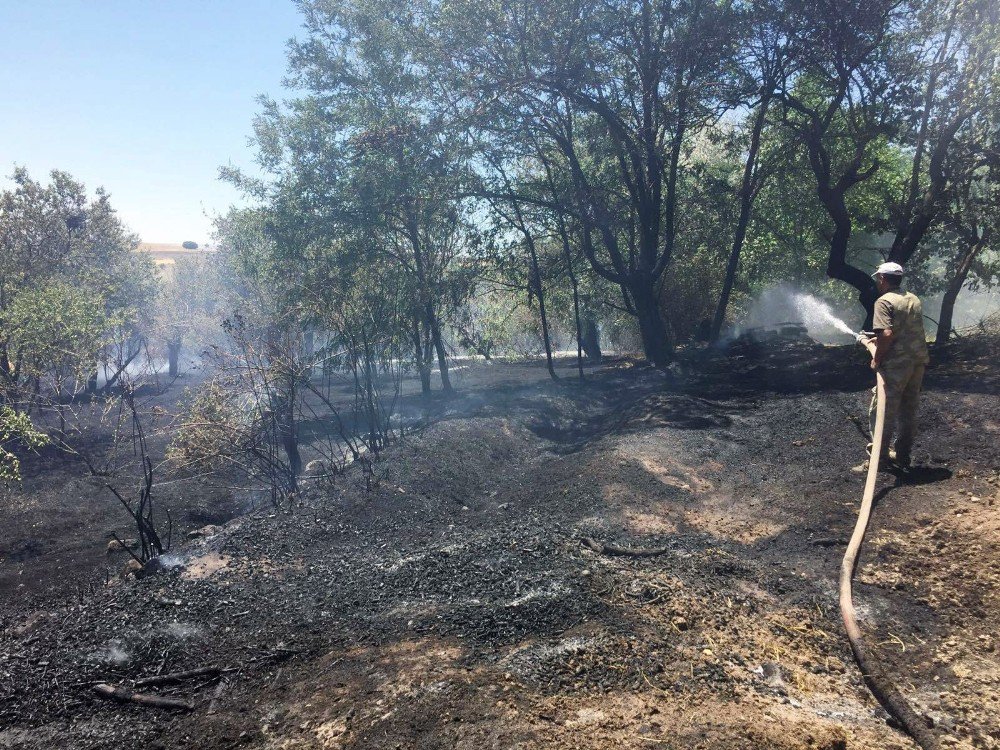 Tunceli’de Ekili Tarım Arazisi Ve Bahçelerde Yangın