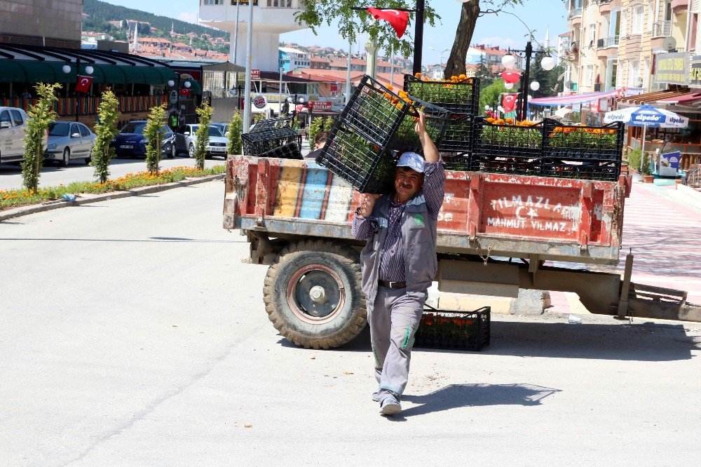 Yozgat’ta Çevre Düzenleme Çalışmaları Devam Ediyor