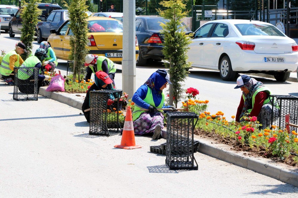 Yozgat’ta Çevre Düzenleme Çalışmaları Devam Ediyor