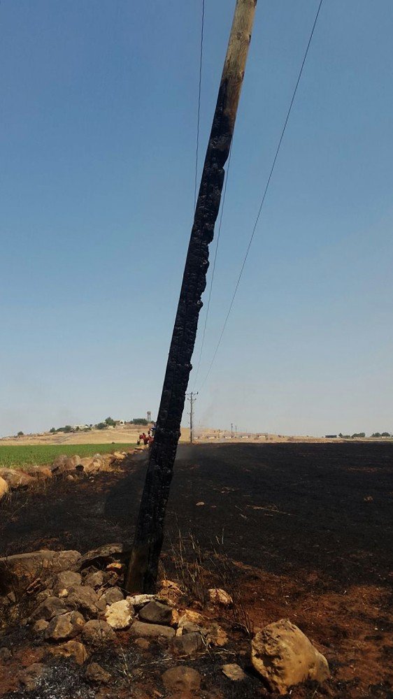 Anız Yangını 16 Köyü Elektriksiz Bıraktı