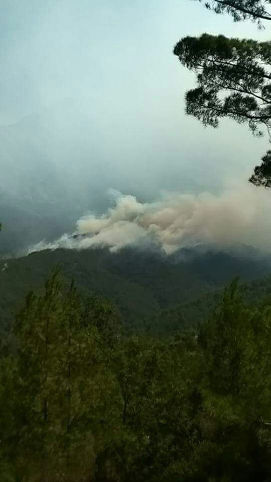 Alanya’da Orman Yangını