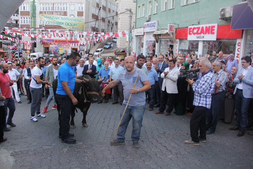 Kafkasör Festivali Boğalar Eşliğinde Yürüyüş İle Başladı