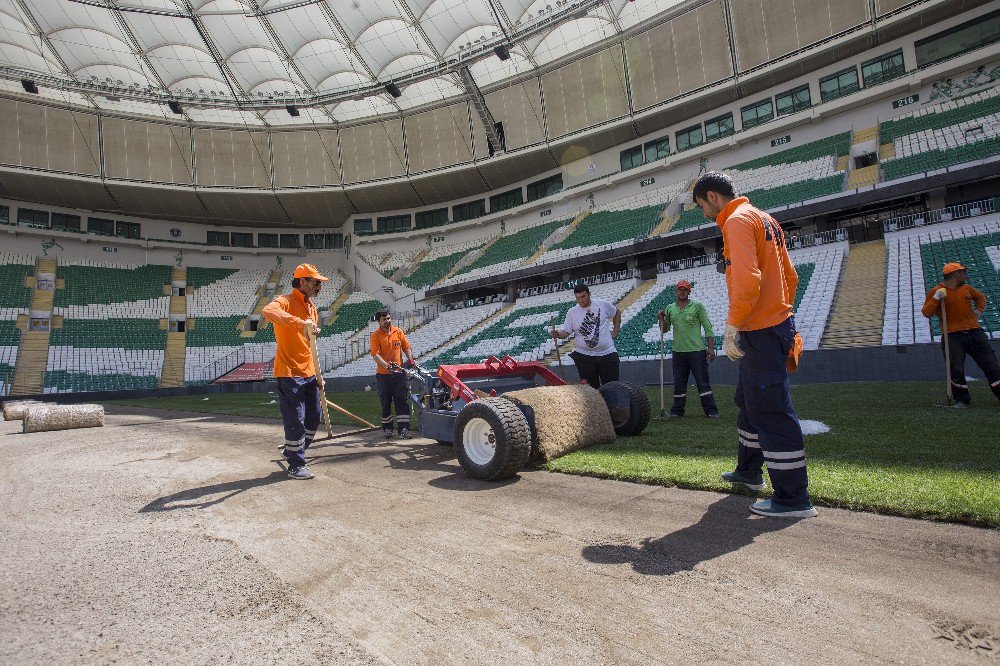 Timsah Arena Yeni Çimlere Kavuşuyor