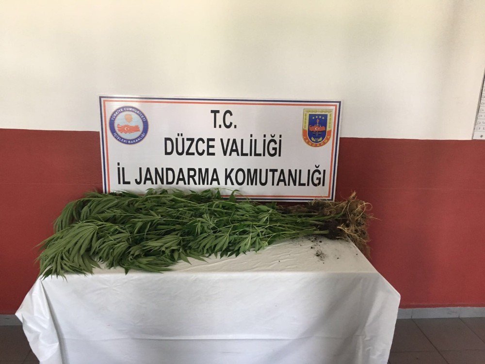 Jandarmadan Uyuşturucuya Geçit Yok